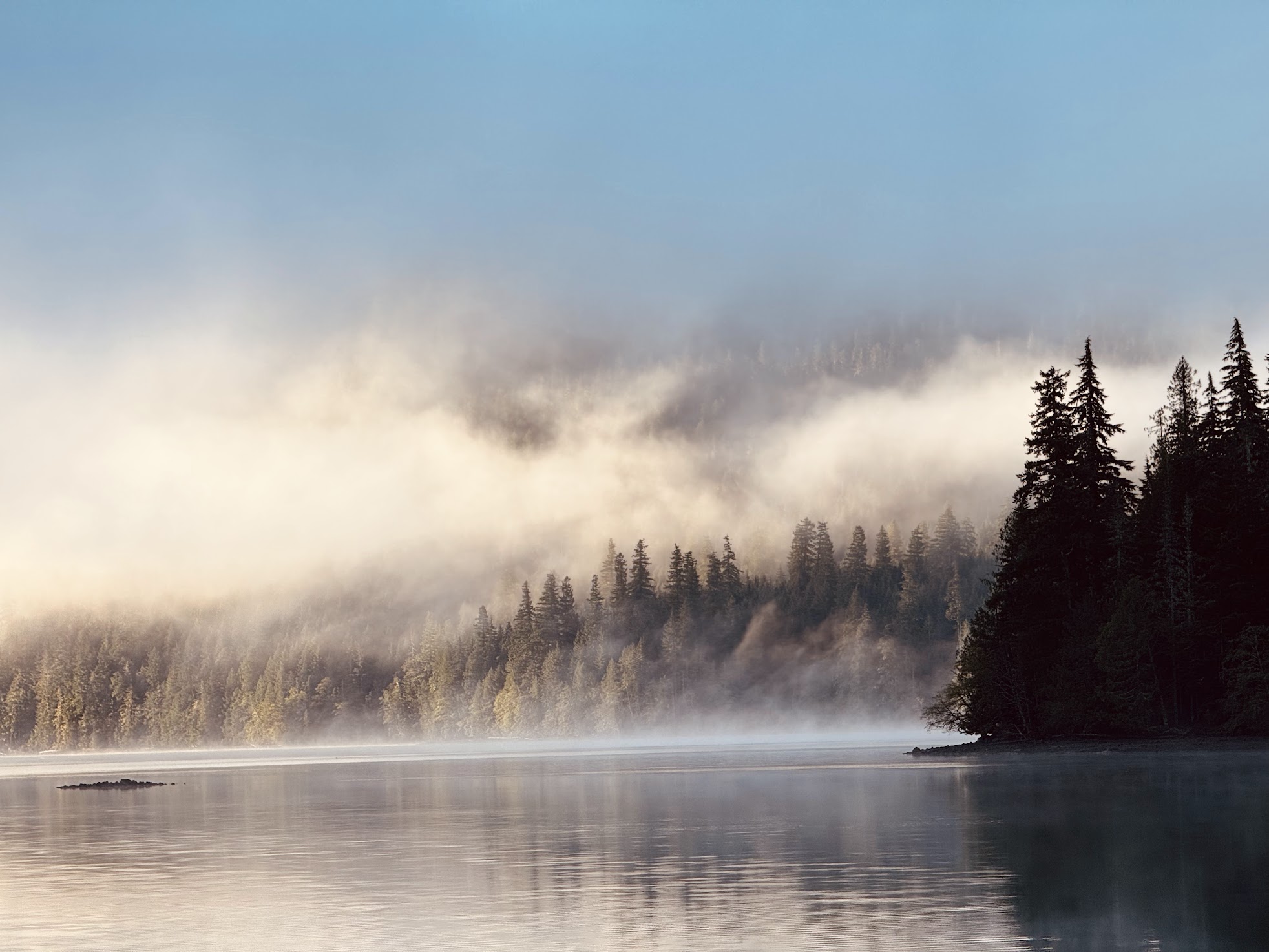 Foggy lake and trees